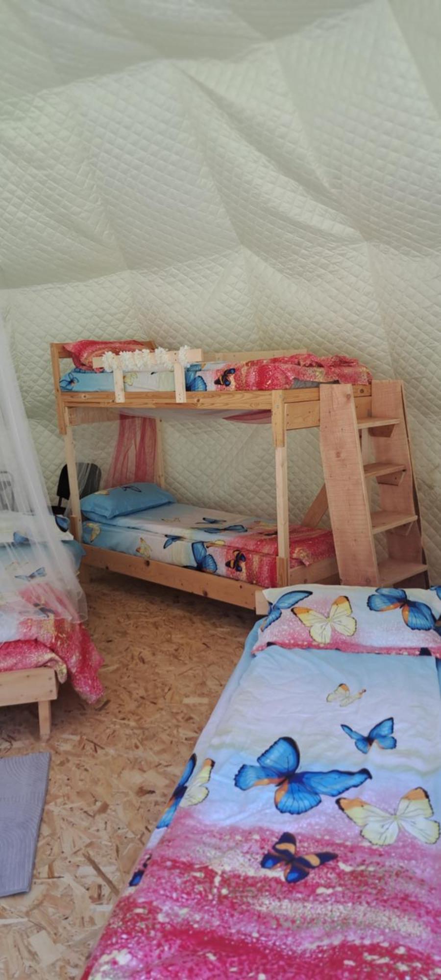 Forest Glamping Brašov Exteriér fotografie