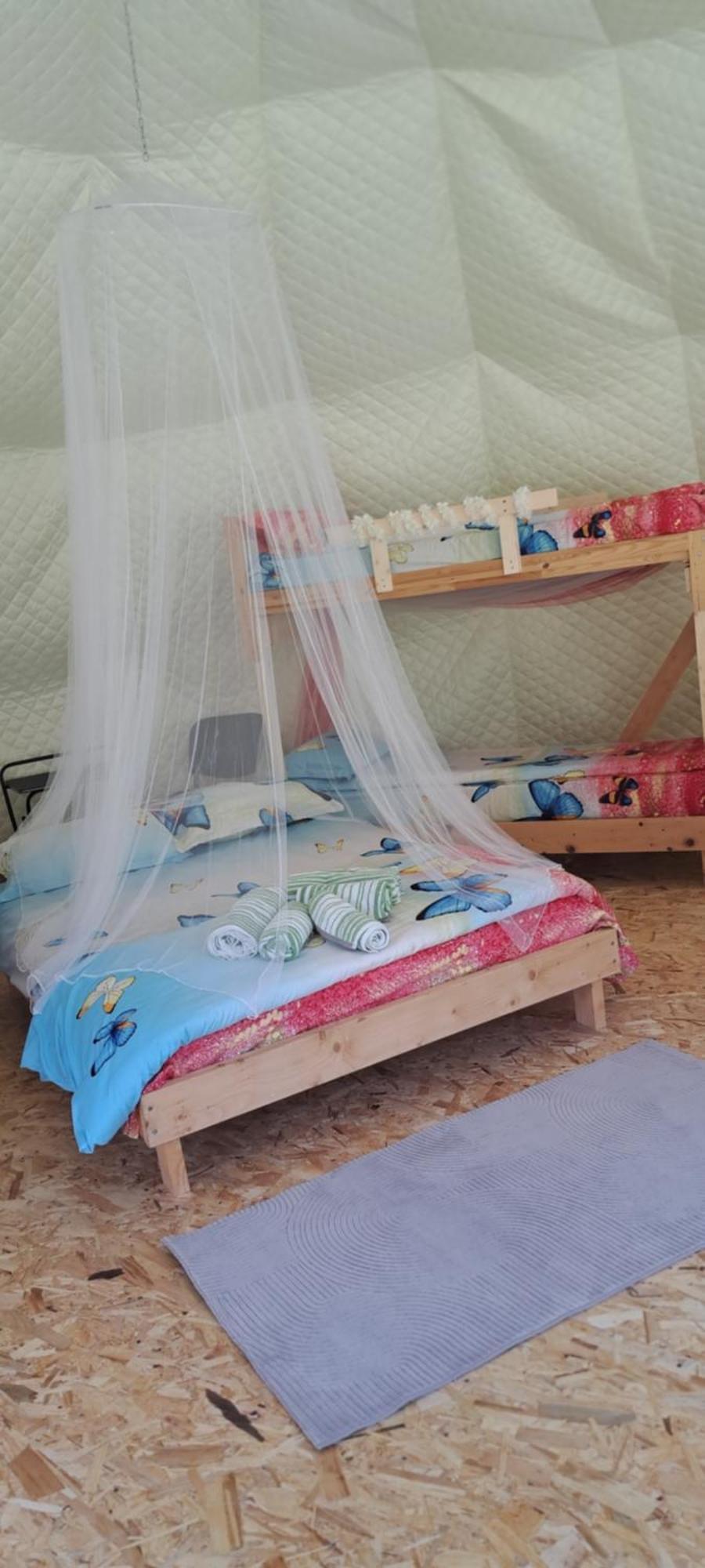 Forest Glamping Brašov Exteriér fotografie