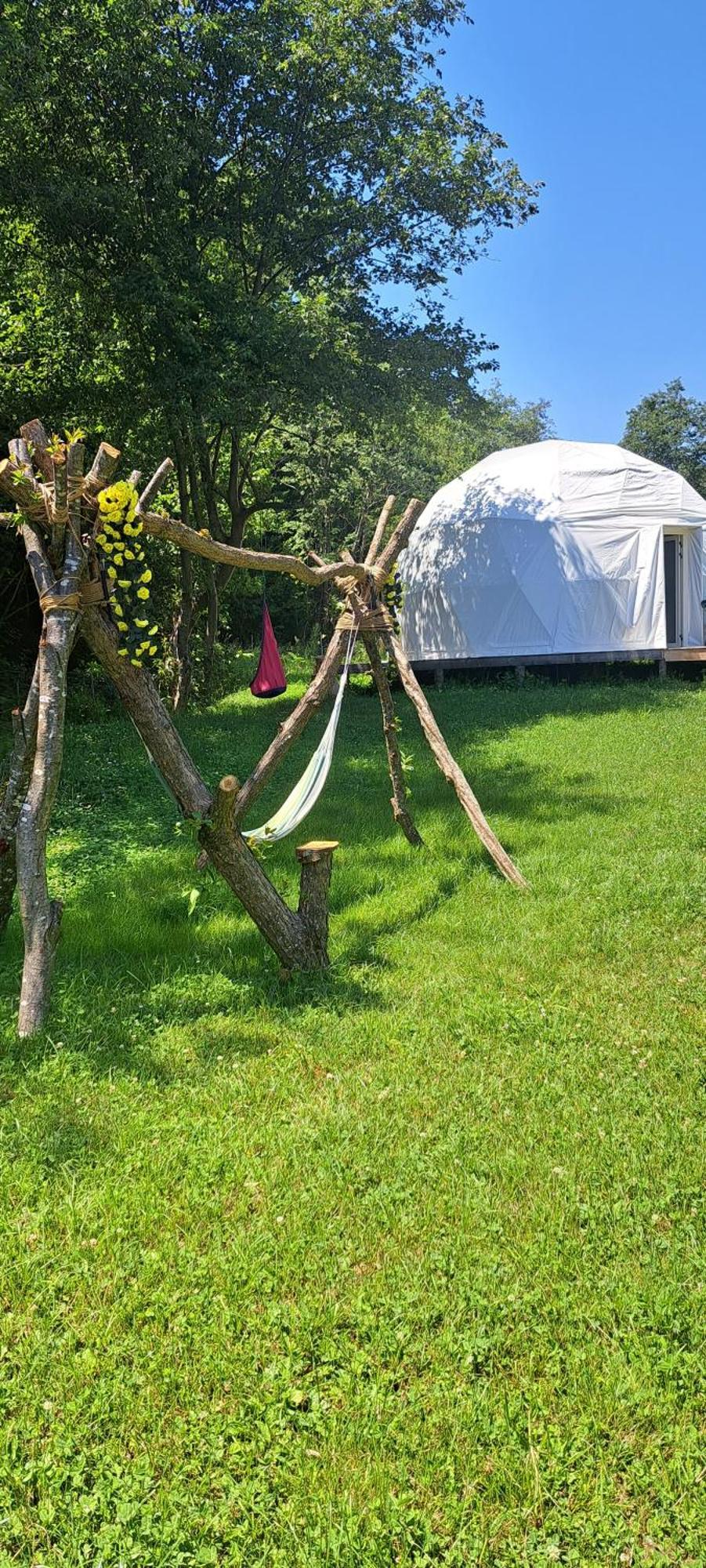 Forest Glamping Brašov Exteriér fotografie
