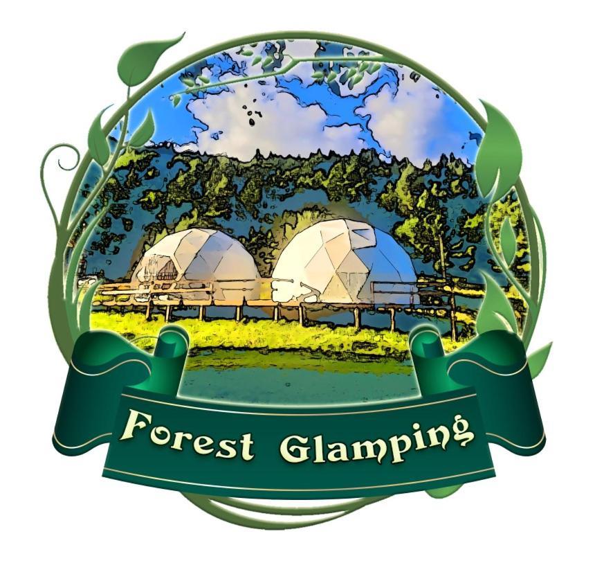 Forest Glamping Brašov Exteriér fotografie