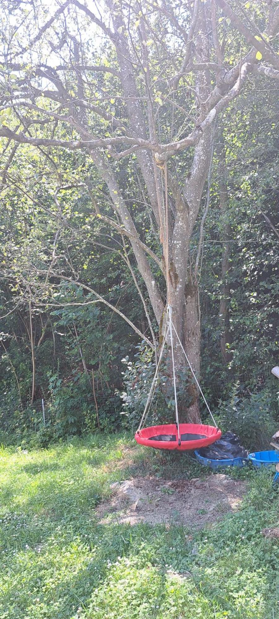 Forest Glamping Brašov Exteriér fotografie