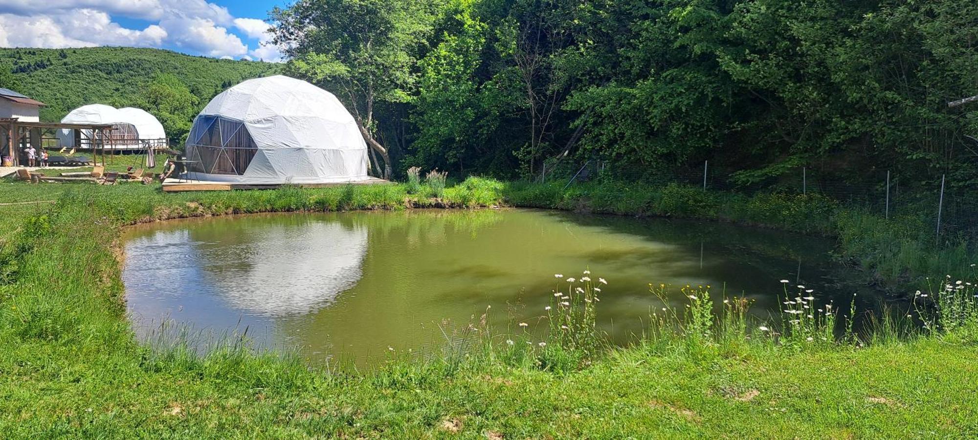 Forest Glamping Brašov Exteriér fotografie