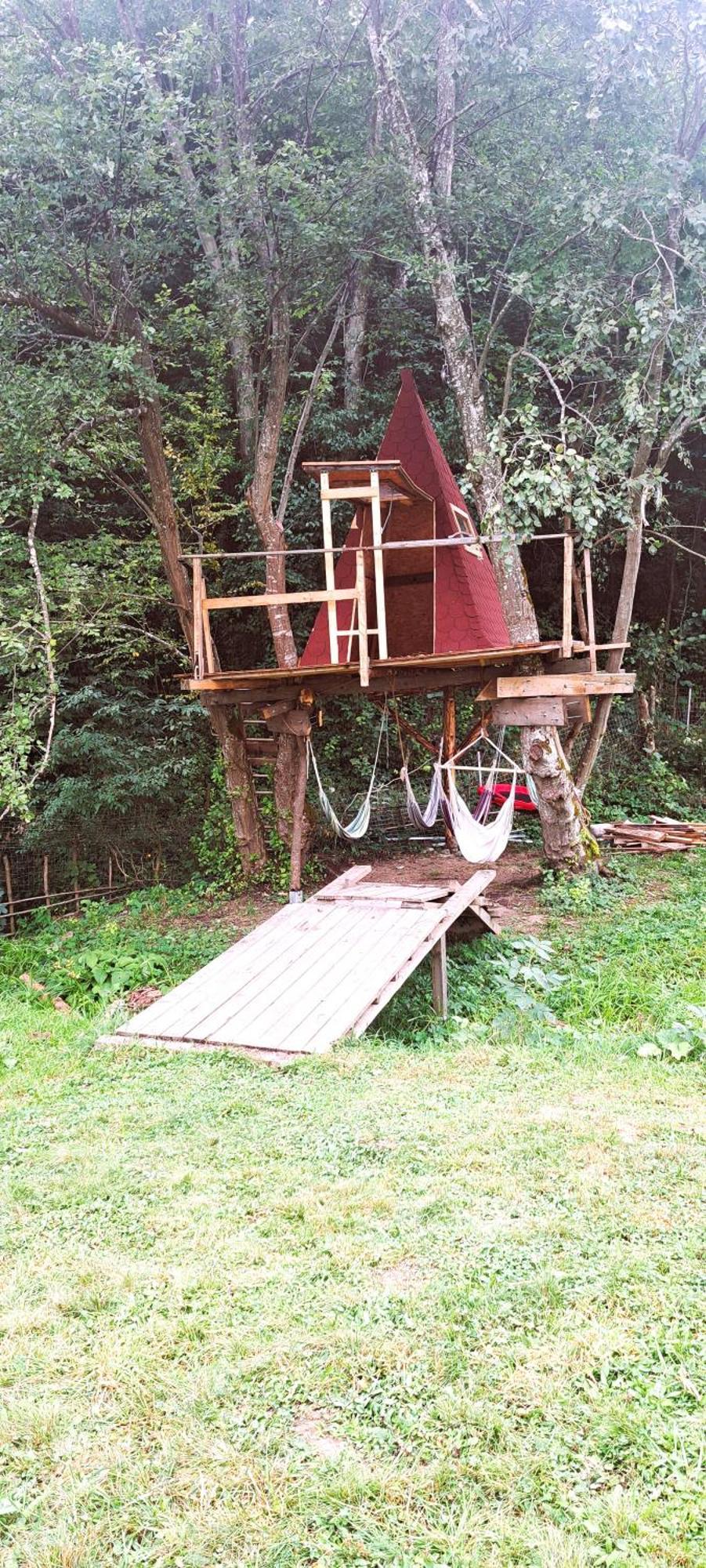 Forest Glamping Brašov Exteriér fotografie